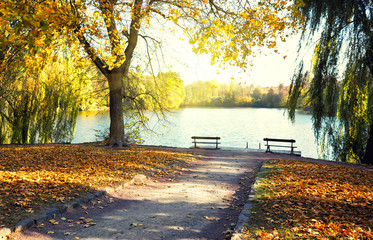 Wall Mural - lake in the park with benches