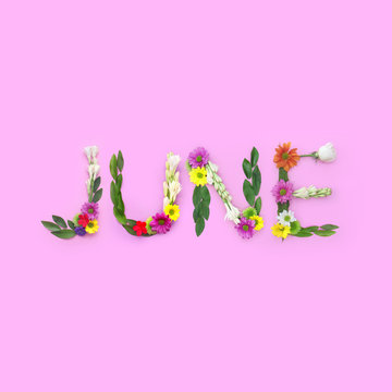 June. Floral collage on pink background