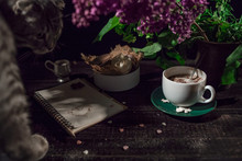 Coffee And Cream Macaroons In A White Plate With Coffee Cup, Cco Notebook With A Pencil Under Lilac Branch With Cat .