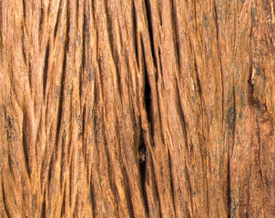 Wall Mural - Wood texture background