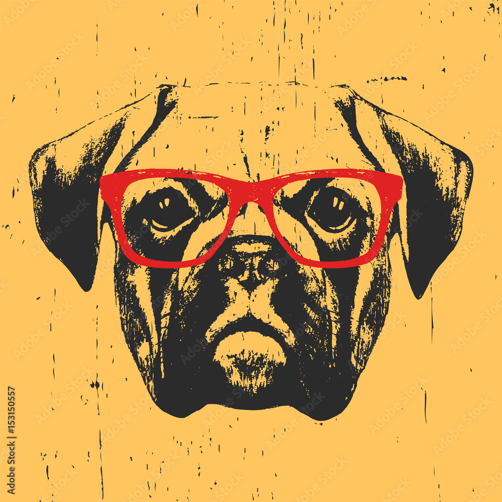 Illustration of Boxer dog with glasses