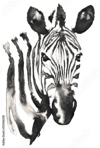 czarno-bialy-monochromatyczny-obraz-z-wody-i-atramentu-zebra-glowa-zebry