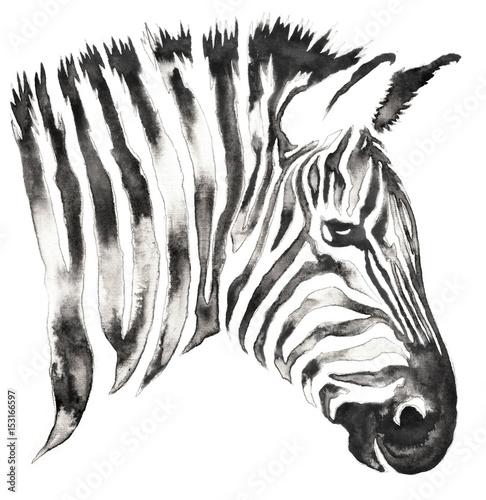 Plakat na zamówienie Czarno-biała zebra w paski