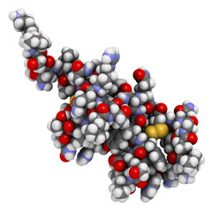 Wall Mural - B-cell activating factor (BAFF, extracellular domain fragment) protein. Cytokine that acts as B cell activator. Target of the monoclonal antibody drug belimumab. 