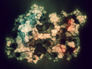 Canvas Print - CD38 (ectodomain fragment) enzyme. Target of the monoclonal antibody drug daratumumab, used for the treatment of multiple myeloma. 3D rendering based on protein data bank entry 5f1k.