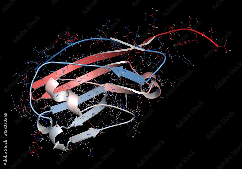 CD47 (integrin associated protein, extracellular domain) protein. Often ...