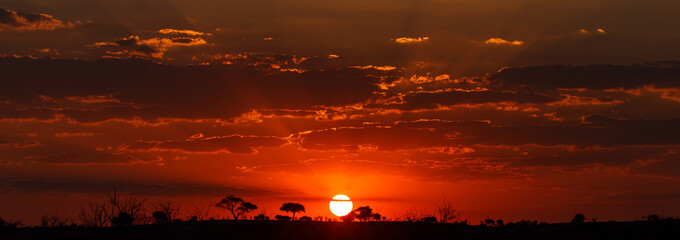 sunset - chobe n.p. botswana, africa