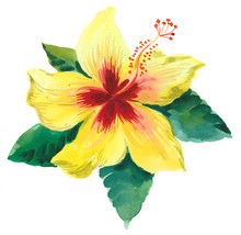 Watercolor Yellow Hibiscus