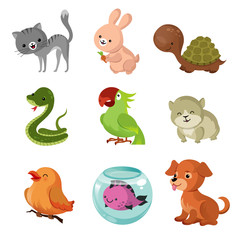 Wall Mural - Pets domestic animals vector flat icons