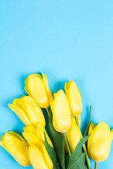 Bouquet of beautiful fresh yellow tulips on blue background