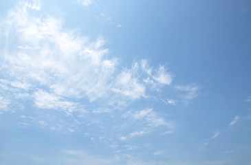 Wall Mural - sky