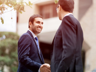 Two businessmen shaking their hands