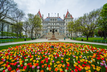 Tulips And The New York State Capitol, In Albany, New York.
