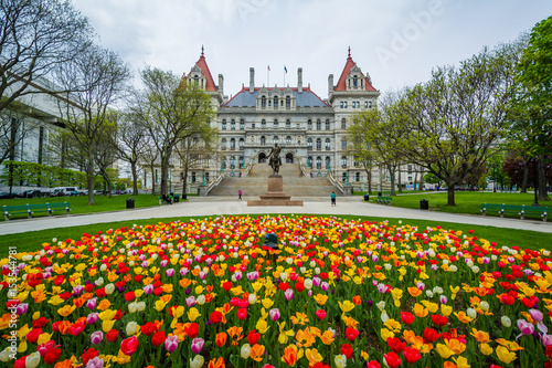 Fotografie, Obraz Tulips and The New York State Capitol, in Albany, New York.