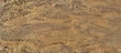 Artificial Martian Terrain Panorama