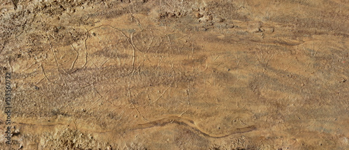 Fotografía Artificial Martian Terrain Panorama