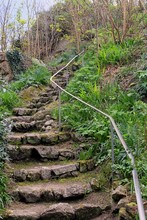 Ancient Stone Steps Leading Up Into Woodland