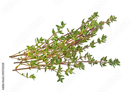 Fotografía Sprig of thyme isolated on a white background