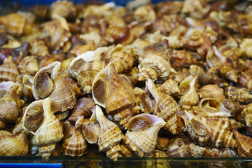 Wall Mural - Seafood market 