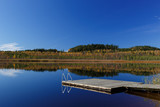 Fototapeta Pomosty - Finnish lake