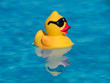 Yellow rubber duck with black sunglasses floating on a beautiful blue swimming pool. The reflection can be seen and under the water.