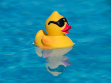 Yellow Rubber Duck With Black Sunglasses Floating On A Beautiful Blue Swimming Pool. The Reflection Can Be Seen And Under The Water.