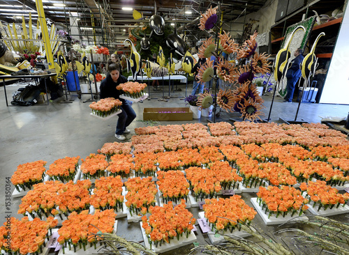 A Volunteer Delivers Orange Roses To Be Used For Decorating