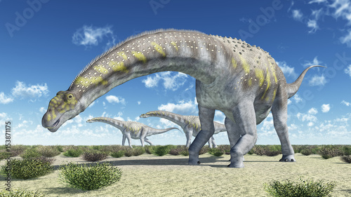 Dekoracja na wymiar  dinozaur-argentinozaur