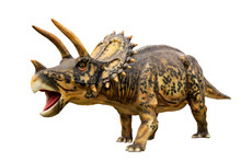 Dinosaur Triceratops And Monster Model Isolated White Background