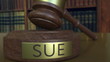 Judge's gavel hitting the block with SUE inscription. 3D rendering