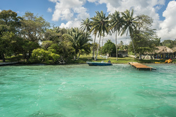 Wall Mural - Bacalar  corals