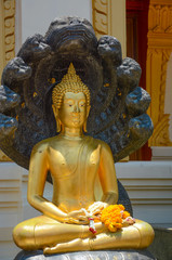 Wat Traimit Golden Buddha Temple in Bangkok, Thailand