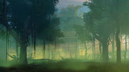 Wall Mural - dreamlike woodland scenery witn ancient trees in a scary mysterious dark forest at misty dawn or dus
