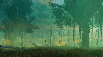 Wall Mural - scary mysterious forest with sunset rays shining through the ancient creepy trees at misty dawn or d