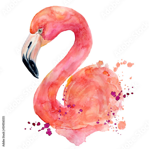 Foto-Lamellenvorhang - watercolor pink flamingo (von EvgeniiasArt)