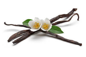 Poster - Dried vanilla pods with flowers