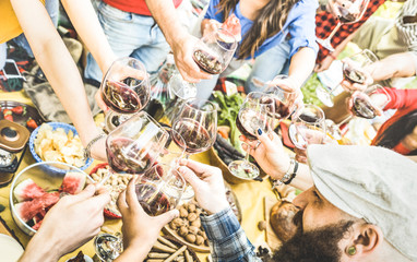 Top view of friend hands toasting red wine glass and having fun outdoor cheering at picnic winetasting - Young people enjoying summer time together at lunch bbq garden party - Youth friendship concept