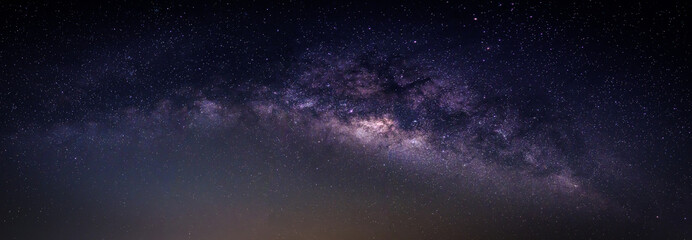Wall Mural - landscape with milky way galaxy. night sky with stars and silhouette coconut palm tree on the mounta