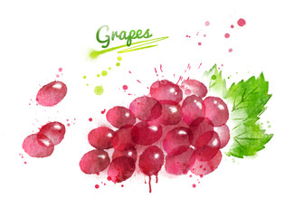 Watercolor illustration of bunch of red grape