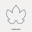 Vine leaf outline icon. Grape leaf