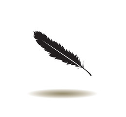 Wall Mural - vector feather icon