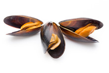 Mussels Isolated On White Background. Sea Food.
