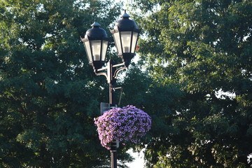 Streetlight