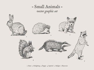 Small animals drawings set on grey background with hare, hedgehog, puppy, squirrel, badger, raccoon