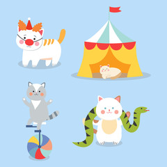 Wall Mural - Circus cats vector cheerful illustration for kids with little domestic cartoon animals playing mammal