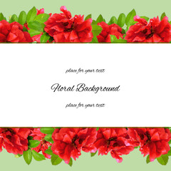 Wall Mural - background  made of fresh terry rosehips  flowers  and place for text