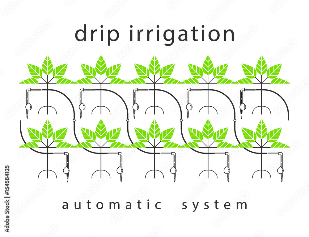 Drip irrigation system. Linear infographics. Stock Vector | Adobe Stock
