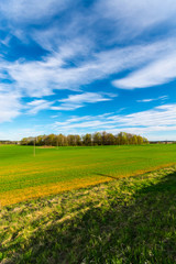  Green meadow under blue sky with clouds. Nature landscape.