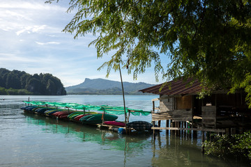 Parked Kayaks