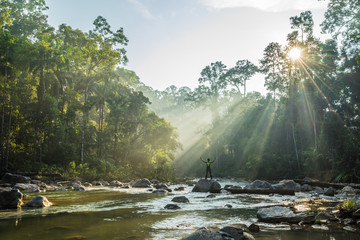 View of Endau Rompin National Park, straddling the Johor/Pahang border, is the second designated national park in Peninsular Malaysia. It covers an area of approximately 80,000 hectares.